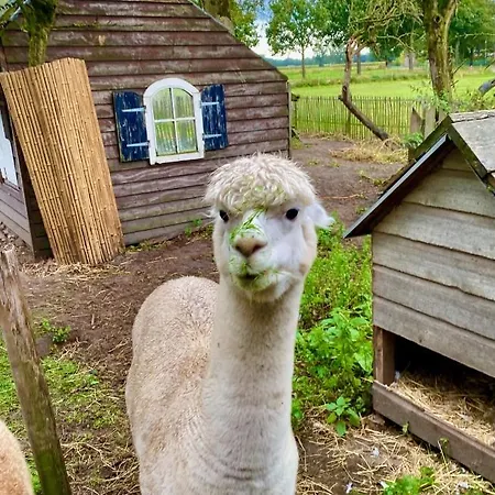 Luxe Finse Kota De Zandhoef *