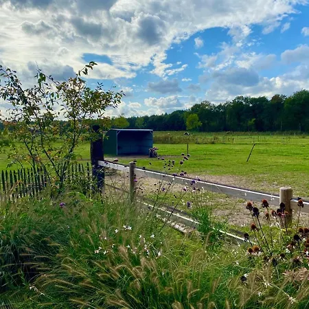 Alpstuga Luxe Finse Kota De Zandhoef