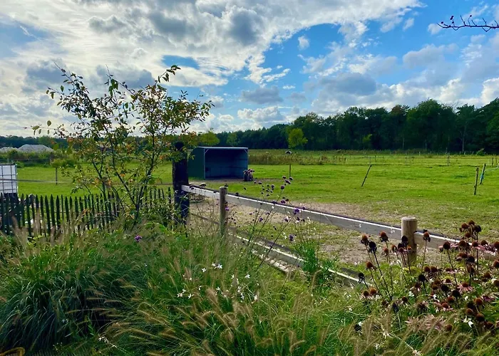 Chalet Luxe Finse Kota De Zandhoef