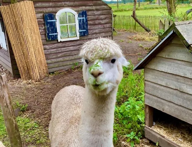 Luxe Finse Kota De Zandhoef *